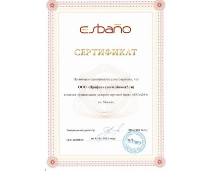 Душевая дверь в нишу ESBANO-90LD R 90 см правая